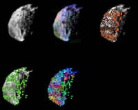 Cassini VIMS Team Finds That Phoebe May Be Kin To Comets