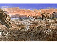 Scientists unearth largest dinosaur species in Patagonia
