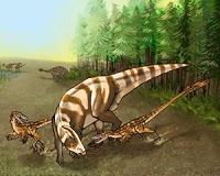 Unlike Jurassic Park, real raptors may not have hunted in packs