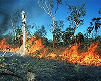 Global Warming Predictions Could Be Overestimated