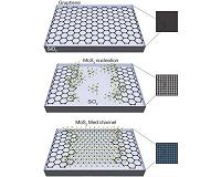 Berkeley Lab scientists grow atomically thin transistors and circuits