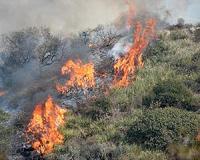 India forest fires kill 9 hikers, injure 18 others