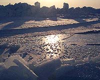 IARC Scientist To Lead Sea Ice Expedition