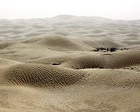 Water crisis in parched northern China