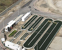 Recession Sees Light In Green Energy