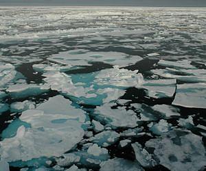 UN sounds alarm over record Arctic ice melt