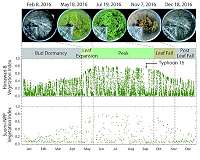Geostationary satellite an alternative to monitor land surfaces