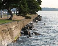 US climate-adaptation plans long on ideas, short on details, priorities