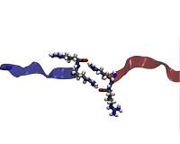 Highly charged molecules behave paradoxically