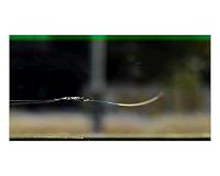 New plastic material begins to oscillate spontaneously in sunlight