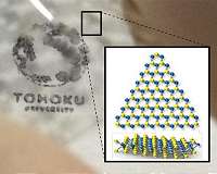 Flexible semitransparent solar cells made from atomically thin sheet