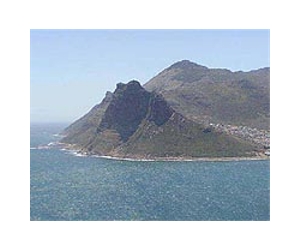 Cape Town juggles buffer between humans and deadly sharks
