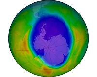Ozone ups and downs