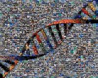 Genomes of healthy newborns to be sequenced as part of new study