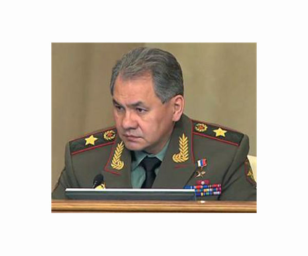 Putin removes defence minister Shoigu