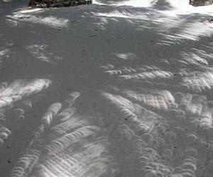 Solar Eclipse this Weekend