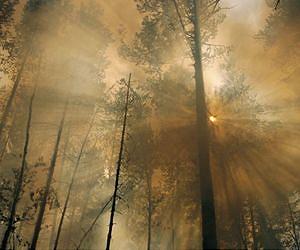 Russians design blockbuster video games in Siberia woods