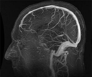 Australia study debunks existence of 'sixth sense' or ESP