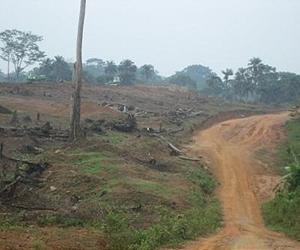 S.Leone orders British mining company to halt operations