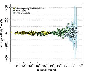 Lasting evolutionary change takes about 1 million years