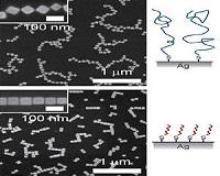 A faster path to optical circuits