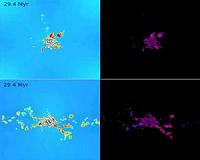 Why sibling stars look alike: Early, fast mixing in star-birth clouds