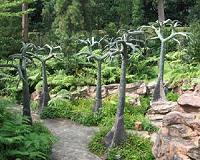 Global network of botanical gardens contain a third of all known plant species