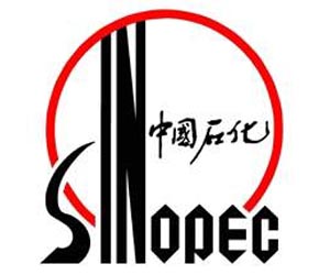 China's Sinopec says in talks with BP to develop shale gas
