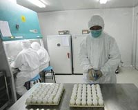 WHO cuts swine flu vaccine production estimate