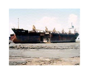 Bangladesh shipbreakers protest new environmental standards