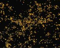 Sloan Digital Sky Survey marks 20 years of observations