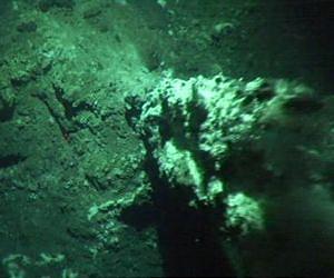 Shimmering water reveals cold volcanic vent in Antarctic waters