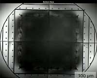 World's smallest tape recorder is built from microbes