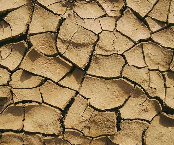 Understanding how soil traps carbon