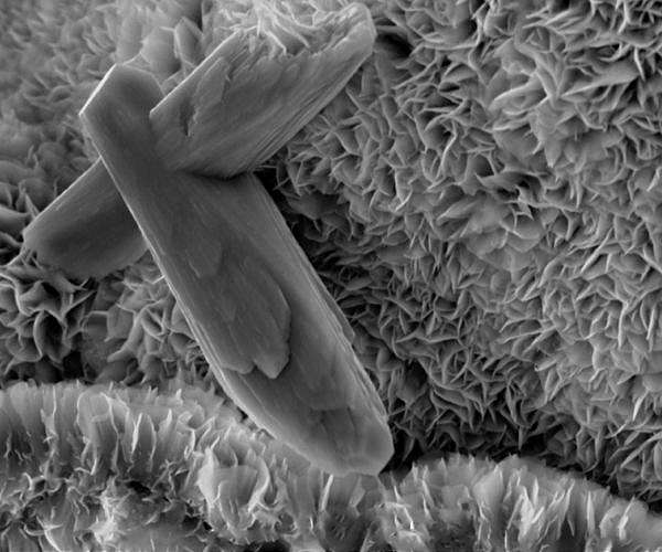 A mineral produced by plate tectonics has a global cooling effect, study finds