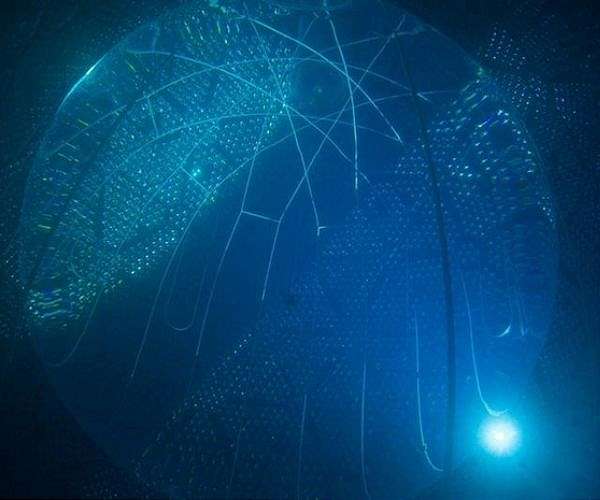Detecting neutrinos from nuclear reactors with water