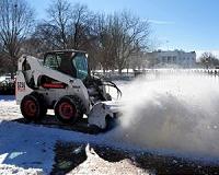 Half of Washington's cherry blossoms dead after cold snap
