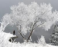 Climate change won't reduce deaths in winter