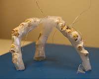 A kernel of promise in popcorn-powered robots