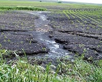 Capturing and storing carbon in soil: Is it real and can it scale?