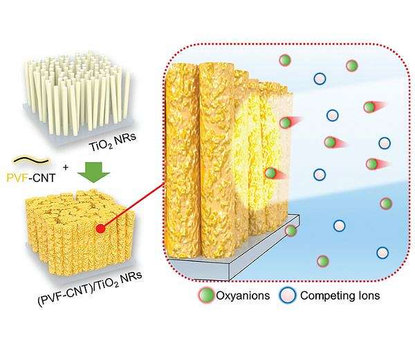 Harnessing the power of the Sun for water remediation