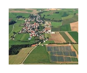 Berlin wants to cut solar power subsidies: lawmaker