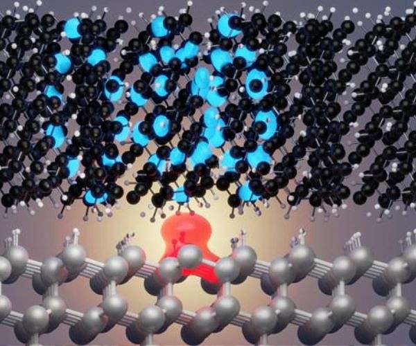 Paderborn University's Hawk-Powered Breakthrough Aims to Boost Solar Cell Efficiency