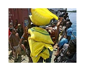 Scramble to reach tsunami-hit villages in Solomons