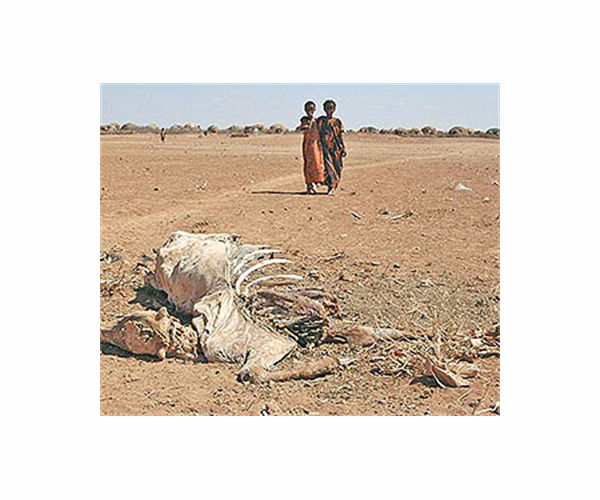 Hunger crisis threatens half of Somalia's young children: UN