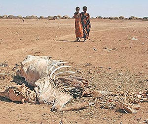 Natural disasters in Africa hamper millennium goals
