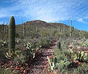 Study Predicts Lag in Summer Rains Over Parts of US and Mexico