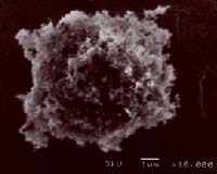 NASA Study Finds Soot May Be Changing The Arctic Environment