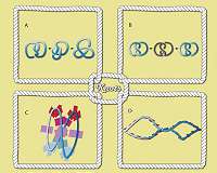 Sorting complicated knots