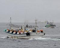 Study recommends closing the high seas to fishing